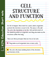 Cell Theory Short Note.pdf